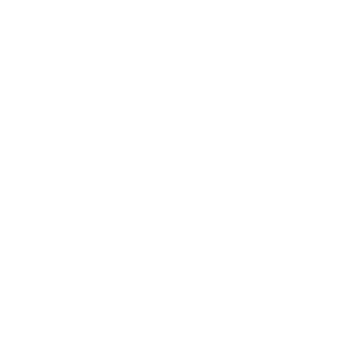 Hollyland